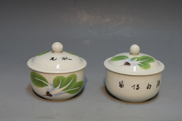 Cabbage pastel lid cup